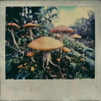 What Are You Gonna Do - Single - Kyle Devine