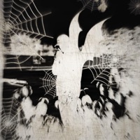 Concussion (feat. 22zeco) - Single - 777