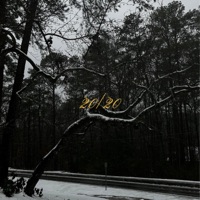 20/20 - Single - Peair