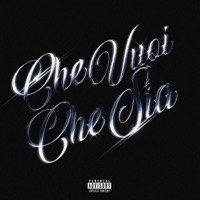 Che Vuoi Che Sia - Single - DNA & Yuunfoxx