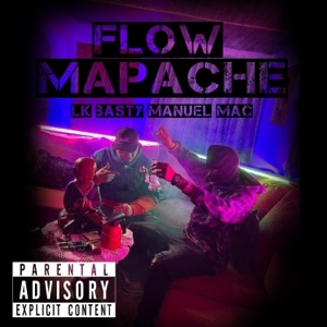 Flow Mapache