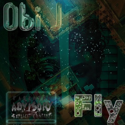 Fly - Single