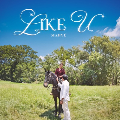 Like U - Single