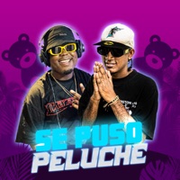 Se Puso Peluche - Single - Wilfran Jr & Dj Kevin Junior