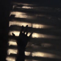 serendipity - EP - VANXLLA & Sombras808