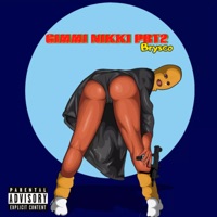 GIMMI NIKKI PRT2 (feat. Preddi Queen) [Raw] - Single - Brysco