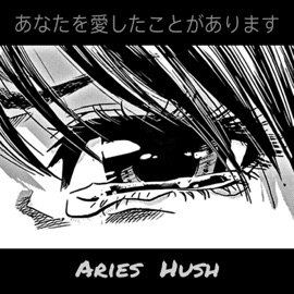 我爱过你 小白羊HUSH