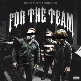 For The Team (feat. Sheff G & Bankroll Buna) Fresh G
