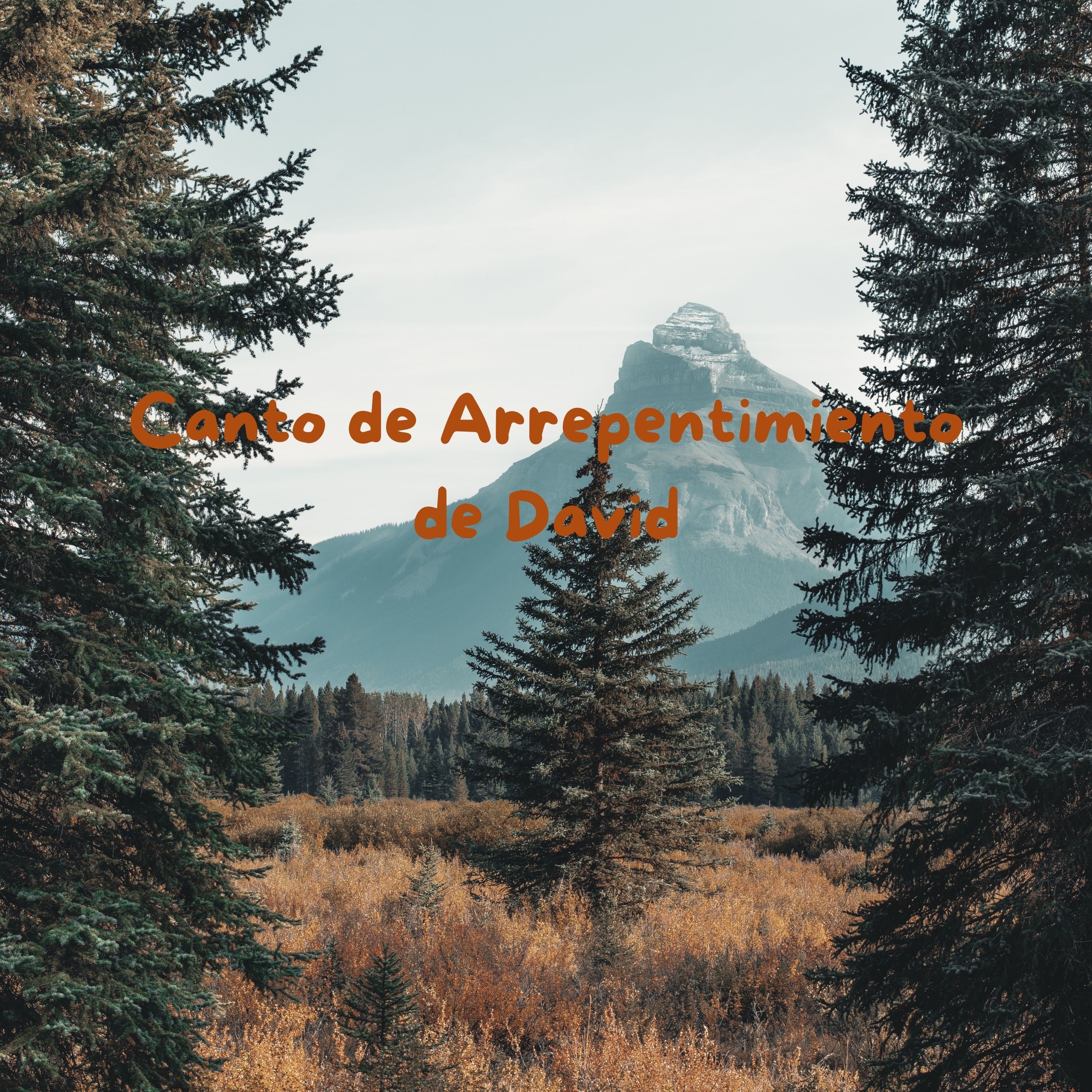 Canto de Arrepentimiento de David - Single