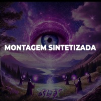 Montagem Sintetizada (feat. MC LyC4N) - Single - Dj Slix011