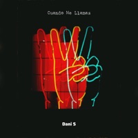 Cuando Me Llamas - Single - Dani S