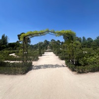 GINSENG - Single - LUCID PRIORITIEZZ & MATHEW