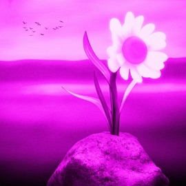 ដំណែងនៃបេះដូង  Where The Heart Lies (Speed Up) M-Fatt