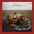Love Like You