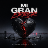 MI GRAN ERROR