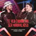 Te Ver Chorar Vai Ser Maravilhoso