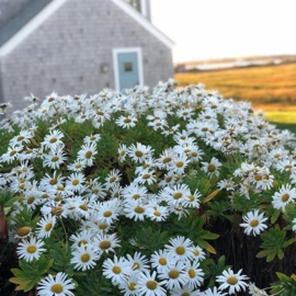 mirror room Maya Manuela
