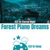 432 Hz Sleep, Music For Sleeping and Relaxation & Sleepwear - Eternal Night in 432 Hz: Forest Piano Dreams Grafik