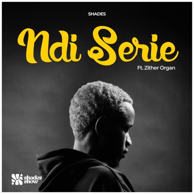 NDI SERIE (feat. Zither Organ) - Single