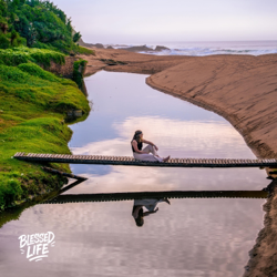 BLESSED LIFE - Dan Shaw Cover Art