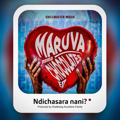 Ndichasara Nani ? - Single