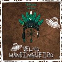 Velho Mandingueiro - Single - Medicinas de Oxossi