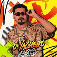 O Vaqueiro É Sal (feat. Hélio Rodrigues) - Single - Mazza dj