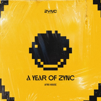 A Year of ZYNC (DJ Mix)