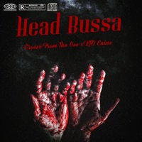 Head Bussa (feat. KTO Caine) - Single - Groove from the Gee
