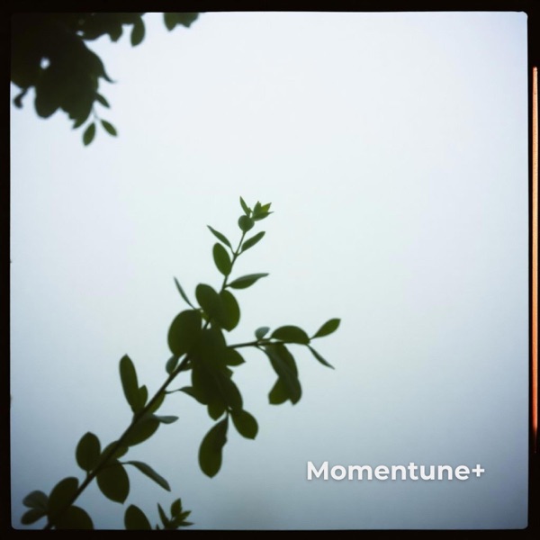 Foggy Moments