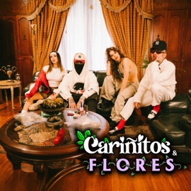 Cariñitos Y Flores Nanpa Básico & Kris R.