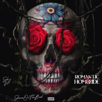 romantic homicide 2 - Solo DJ & ShaniaOnTheBeat