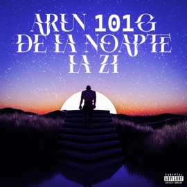 DE LA NOAPTE LA ZI Arun 101g