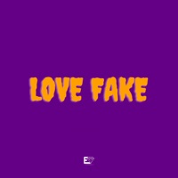 Love Fake - Single - BUNNY & ZK Beats