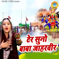 Ter Suno Baba Jaharveer - Single - Neetu Bhati