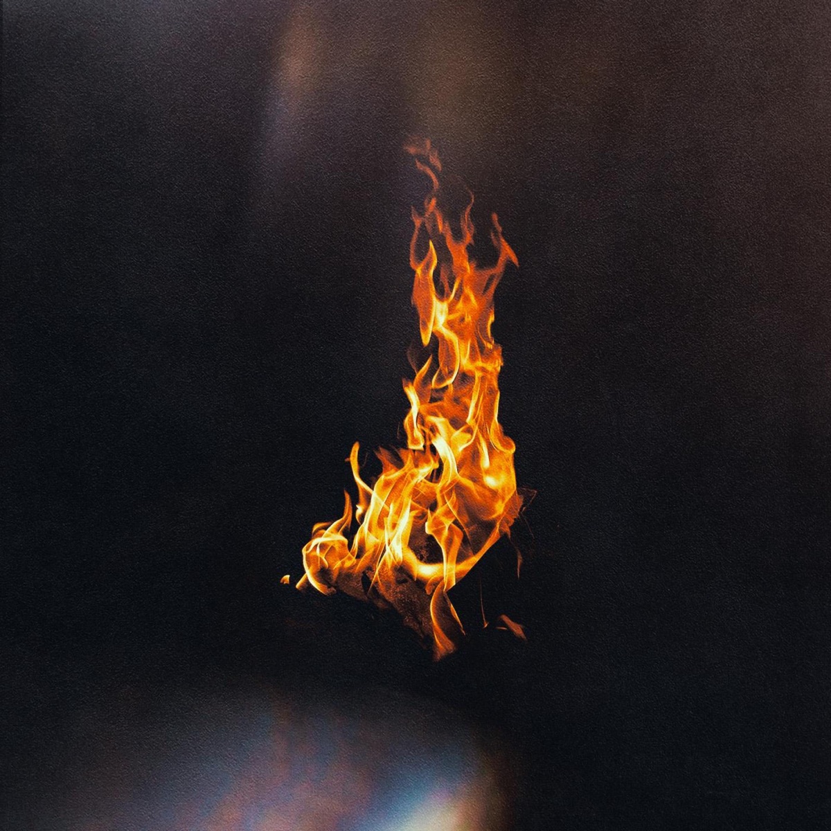 Leña Nueva - Single (Live) cover
