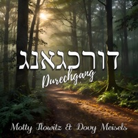 דורכגאנג - Durechgang (feat. Dovy Meisels) - Single - Motty Ilowitz
