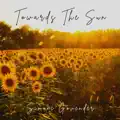 Towards the Sun