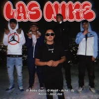 Las Nike (feat. El Baby Gali, O Neall, Ache & José Joa) - Single - Sandunga INC