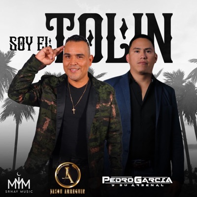 Soy El Tolin - Single