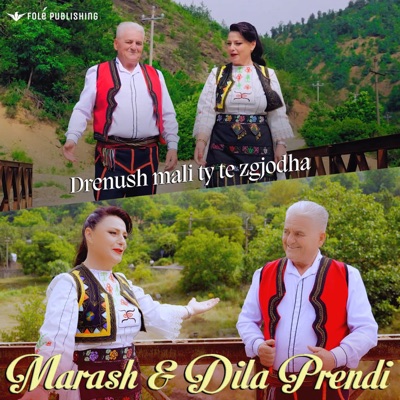 Drenush mali ty te zgjodha - Single
