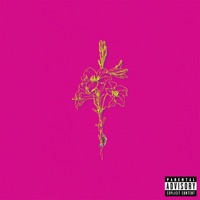 I Don't Think I (feat. Aleks James) - Single - DZRT ANML