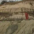 Onde E Que Deu Errado_