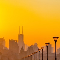 really - Single - BIDØ