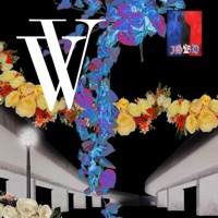 CIA - Single - VeiledVisions