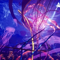 Black Oxygen - Single - Subb Spaced