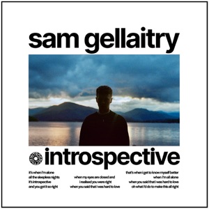 INTROSPECTIVE - Single