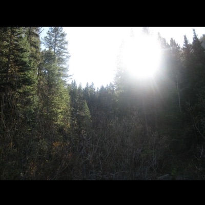 Heaven (feat. Laker & Aceii) - Single