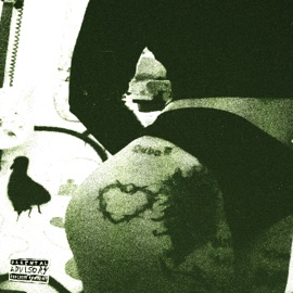 corazón de púas Quva