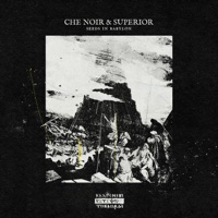 Seeds In Babylon - Che Noir & Superior